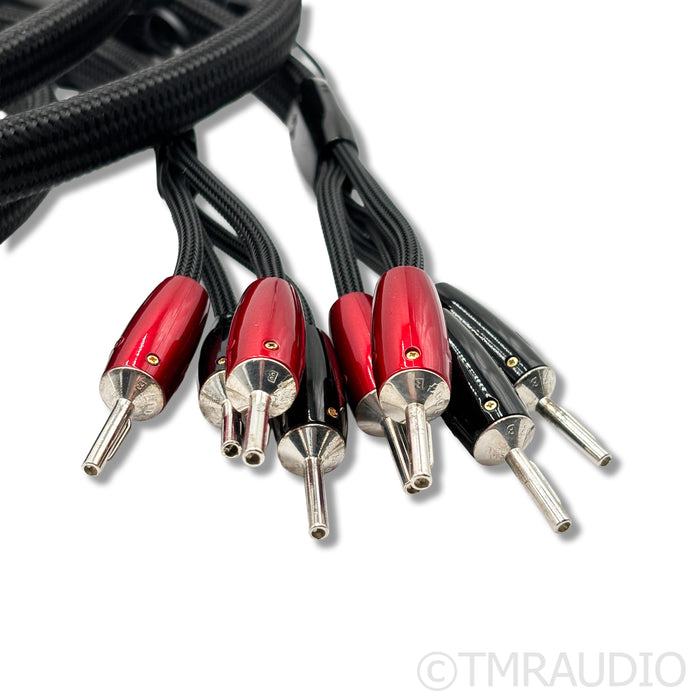 AudioQuest Obsidian PSS Speaker Cables; 8ft Pair
