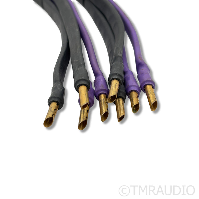 Analysis Plus Solo Crystal Oval 8 Bi-Wire Speaker Cables; 2ft Pair