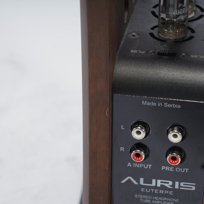 Auris Euterpe Tube Headphone Amplifier / DAC