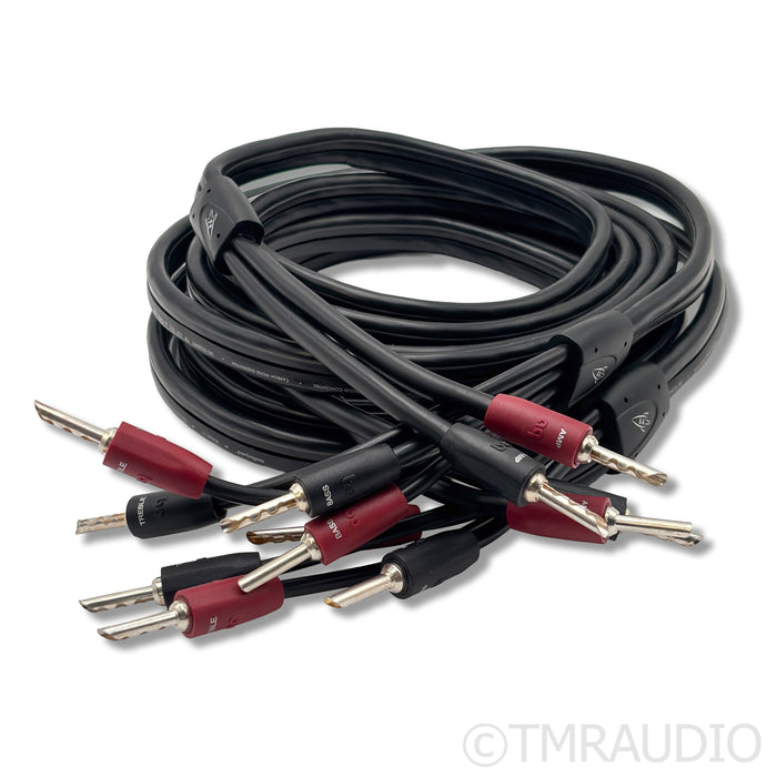 AudioQuest Rocket 11 Bi-Wire Speaker Cables; 8ft