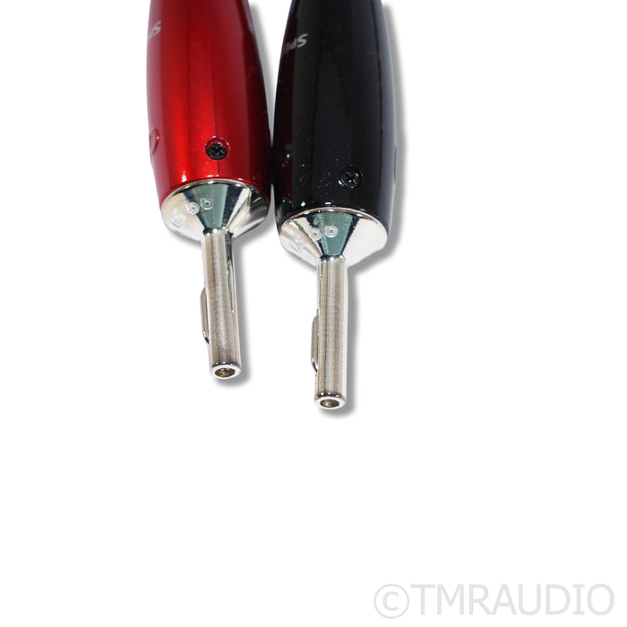 AudioQuest Rocket 44 Speaker Cables; 8 Feet