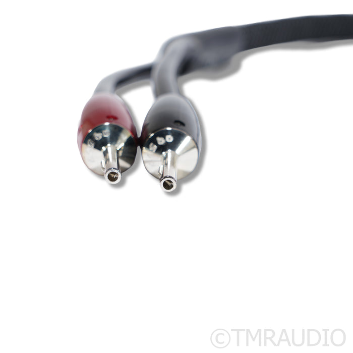 AudioQuest Rocket 44 Speaker Cables; 8 Feet