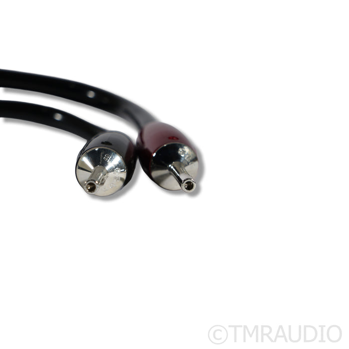 AudioQuest Rocket 44 Speaker Cables; 8 Feet