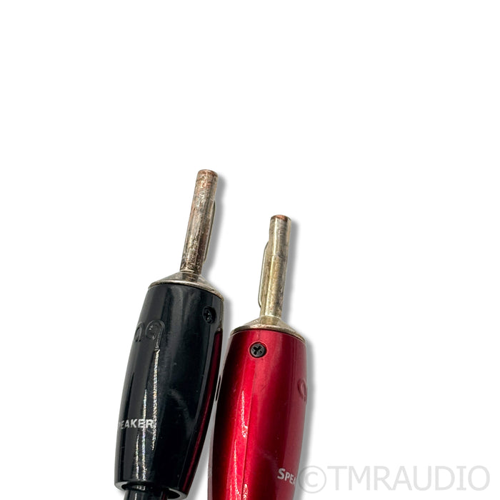 AudioQuest Rocket 88 Speaker Cables; 2m