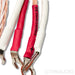 Kimber Kable 8TC Speaker Cables; 1.5m Pair