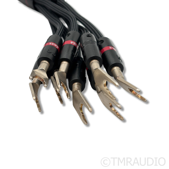 AudioQuest Meteor Bi-Wire Speaker Cables; 6ft