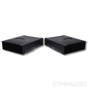 Schiit Audio TYR MonoBlock Power Amplifiers