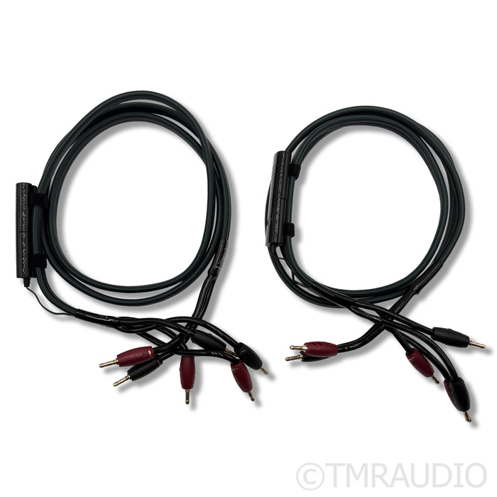 AudioQuest Rocket 88 Speaker Cables; 2m