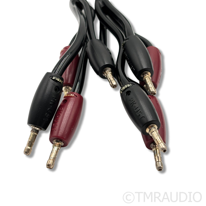 AudioQuest Rocket 88 Speaker Cables; 2m