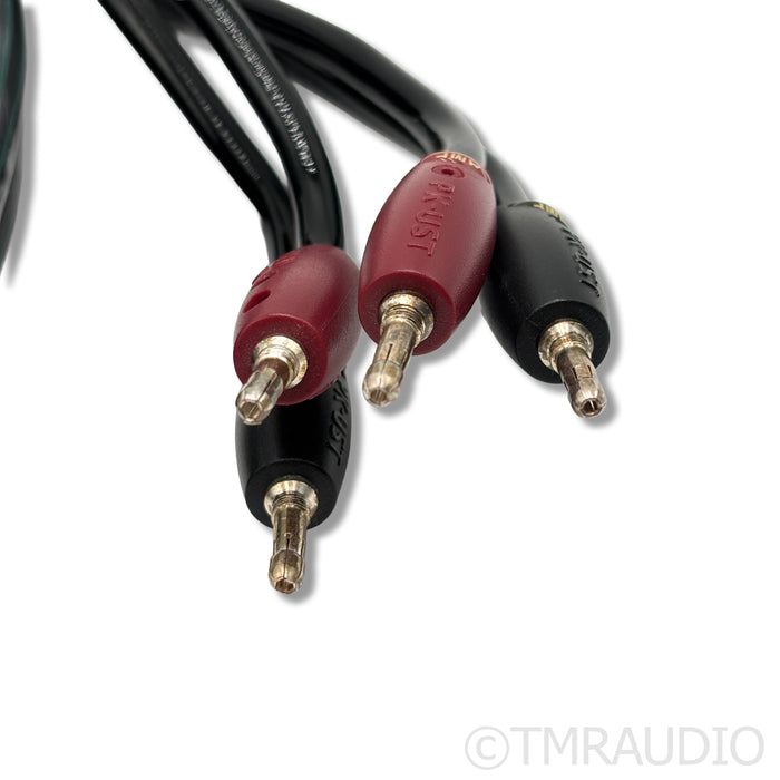 AudioQuest Rocket 88 Speaker Cables; 2m