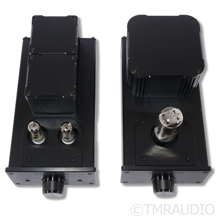 Woo Audio WA6-SE Dual-Chassis Tube Headphone Amplifier