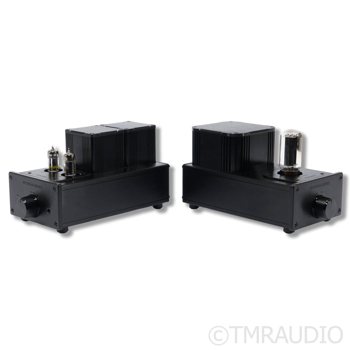 Woo Audio WA6-SE Dual-Chassis Tube Headphone Amplifier
