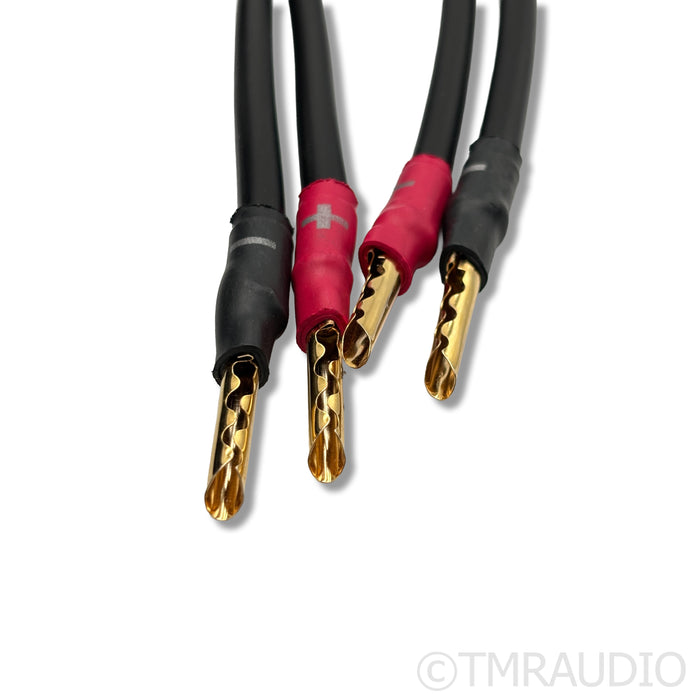 Synergistic Research Atmosphere SX Euphoria Speaker Cables; 8ft