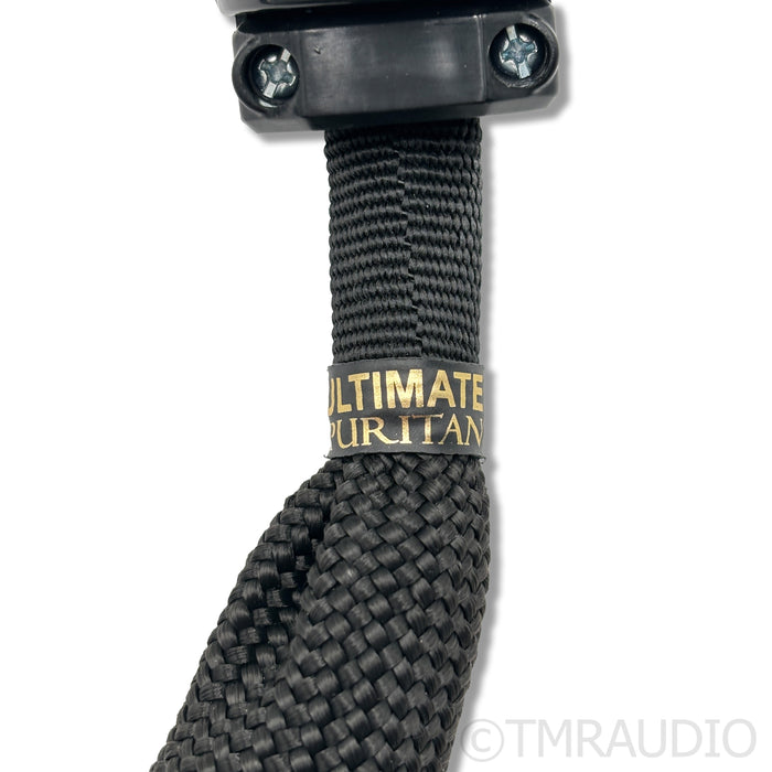 Puritan Audio Labs Ultimate Power Cable; 2m
