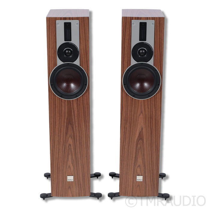 DALI Rubicon 5 Floorstanding Speakers