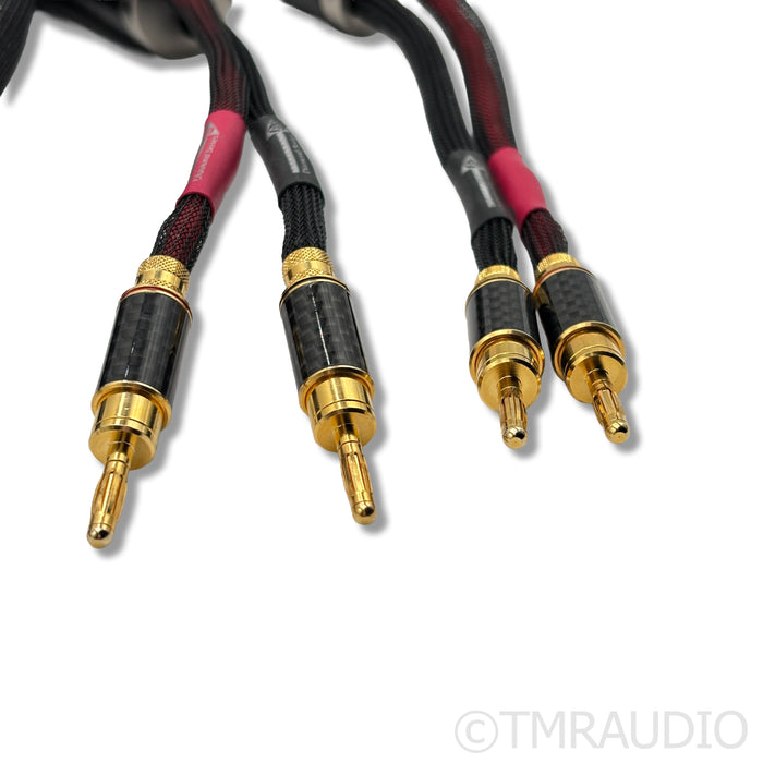 WyWires Diamond Series Speaker Cables; 2m