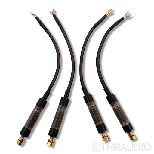 LessLoss Stellar Firewall for Loudspeakers