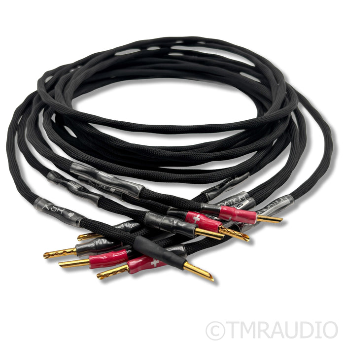 Synergistic Research  Foundation Series Speaker Cables; 8ft