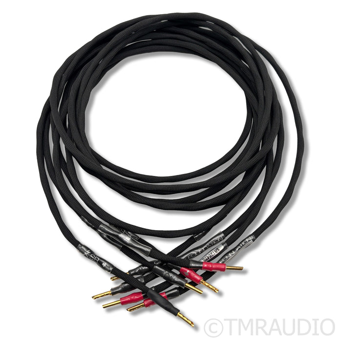 Synergistic Research  Foundation Series Speaker Cables; 8ft