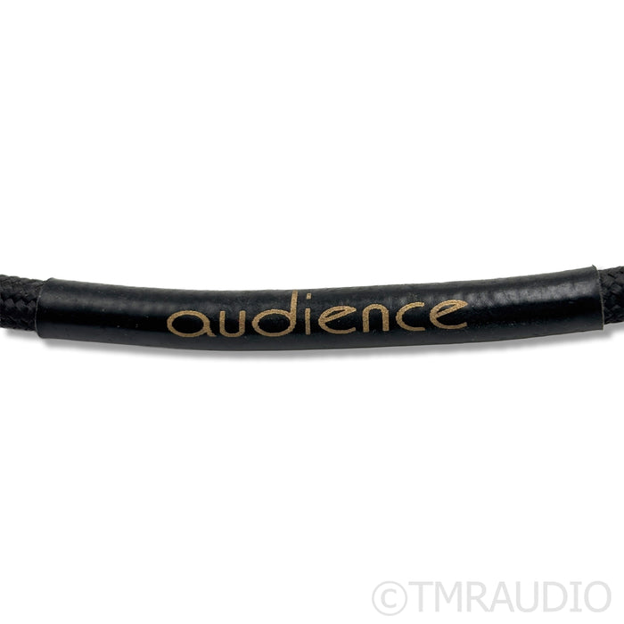 Audience FrontRow RCA Cables; 0.5m