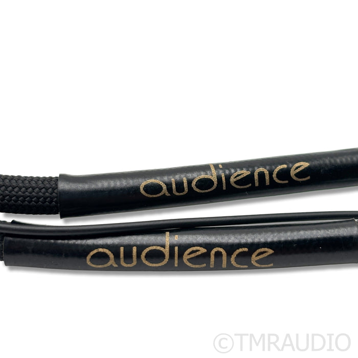 Audience FrontRow RCA Cables; 1m
