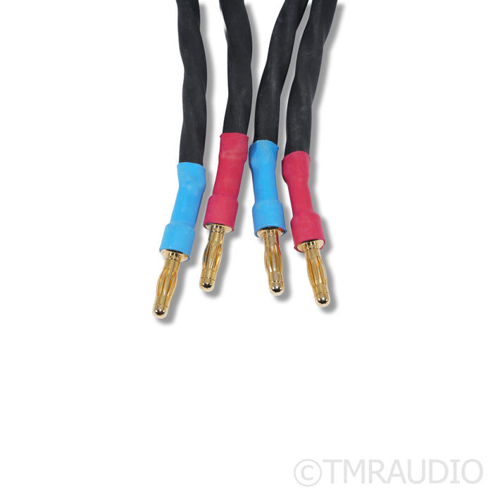 Kubala-Sosna Temptation Speaker Cables; 2.5m