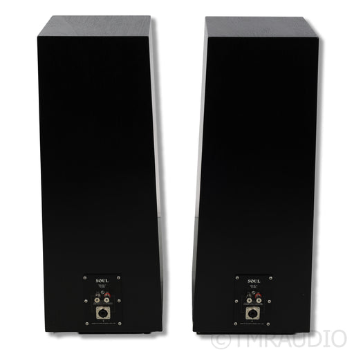 Zu Audio Soul 6 Floorstanding Speakers