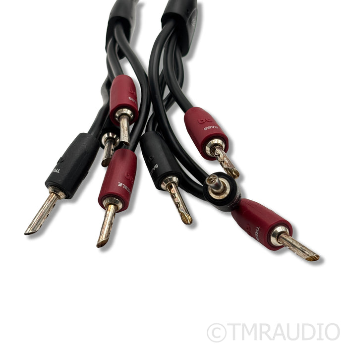 AudioQuest Rocket 22 Bi-Wire Speaker Cables; 4.5m