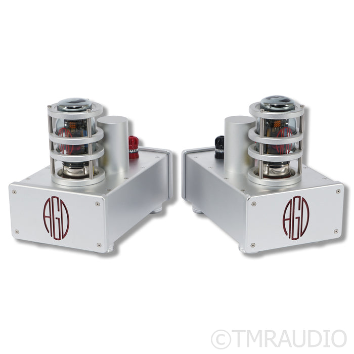 AGD Productions The Audion MkIII MonoBlock Power Amplifiers; Upgraded PSU