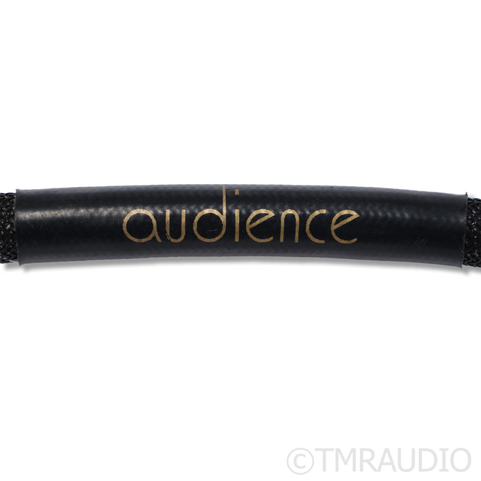 Audience Forte f5 powerChord Power Cable; 1.75m