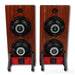Clayton Shaw Acoustic Lab Caladan Gen.1 Floorstanding Speakers; Gaia III Footers