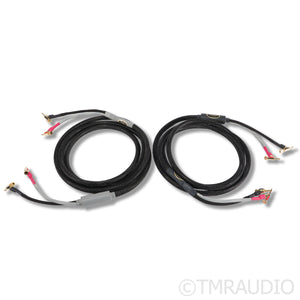 VooDoo Cables Velocity Speaker Cables; 10ft