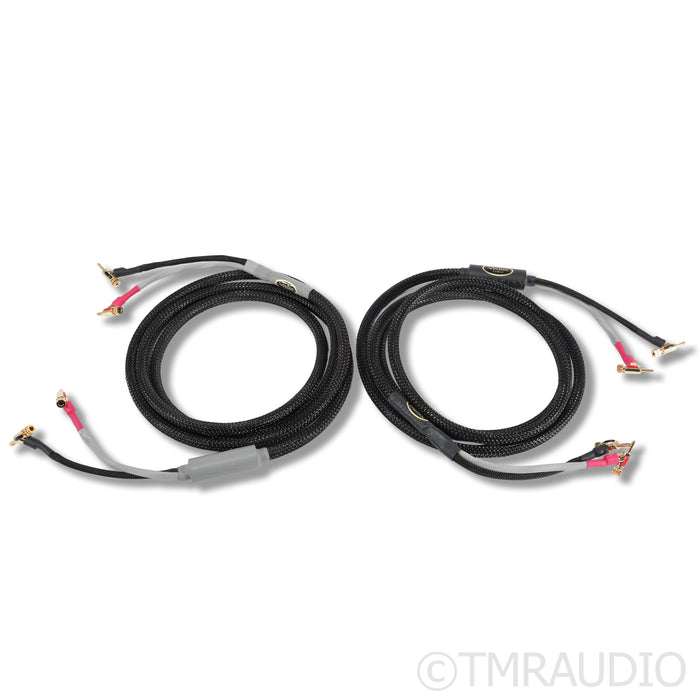 VooDoo Cables Velocity Speaker Cables; 10ft