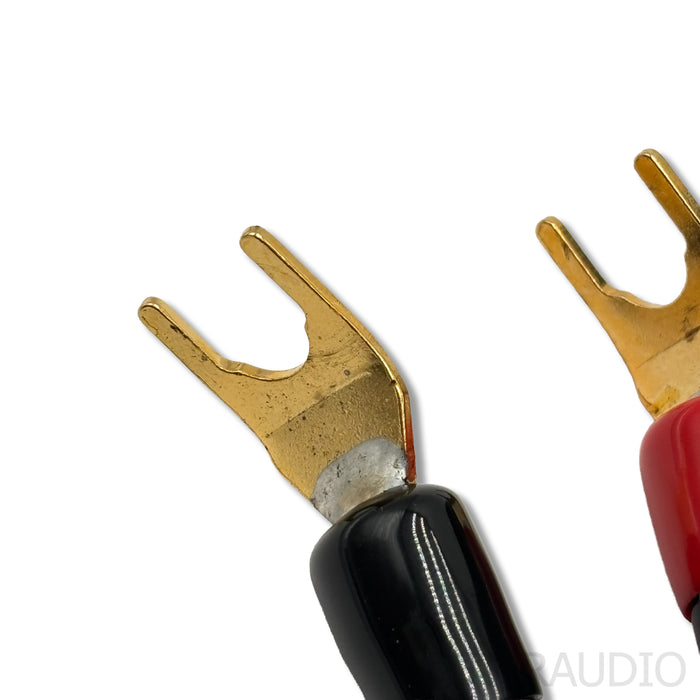 Transparent Audio MusicWave Speaker Cables; 12ft
