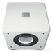 REL Acoustics T/7x Subwoofer; Upgraded Cable