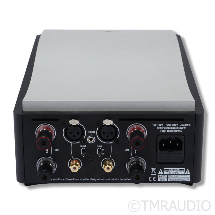 Mola Mola Perca Power Amplifier