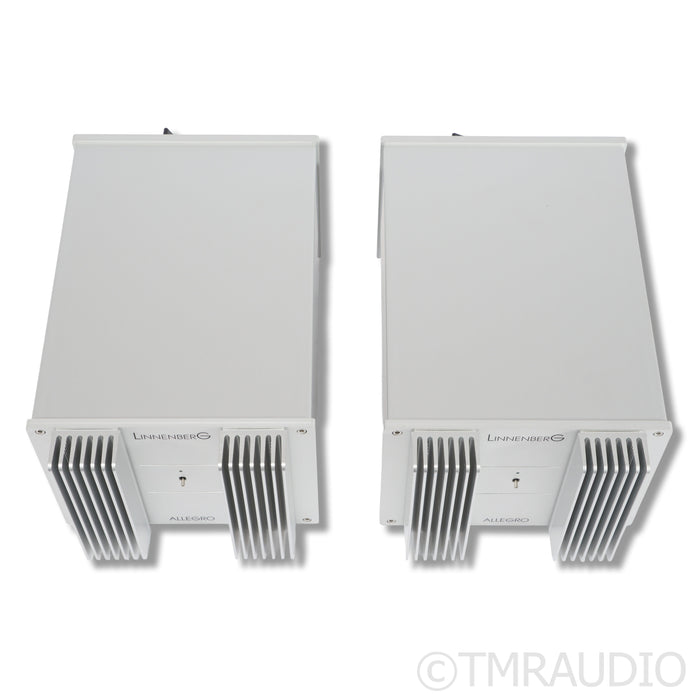 LinnenberG Audio Allegro Monoblock Power Amplifiers