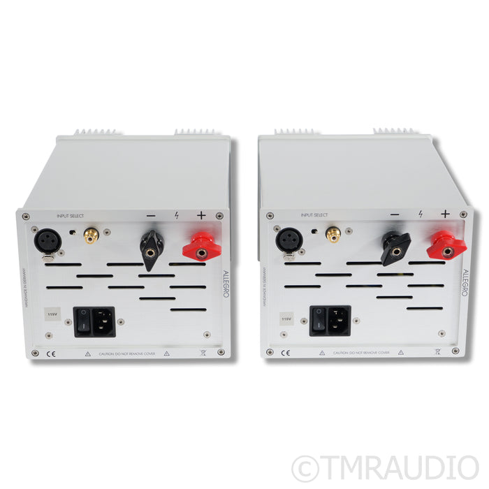 LinnenberG Audio Allegro Monoblock Power Amplifiers