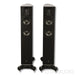Raidho Acoustics TD2.2 Floorstanding Speakers