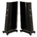 Raidho Acoustics TD2.2 Floorstanding Speakers