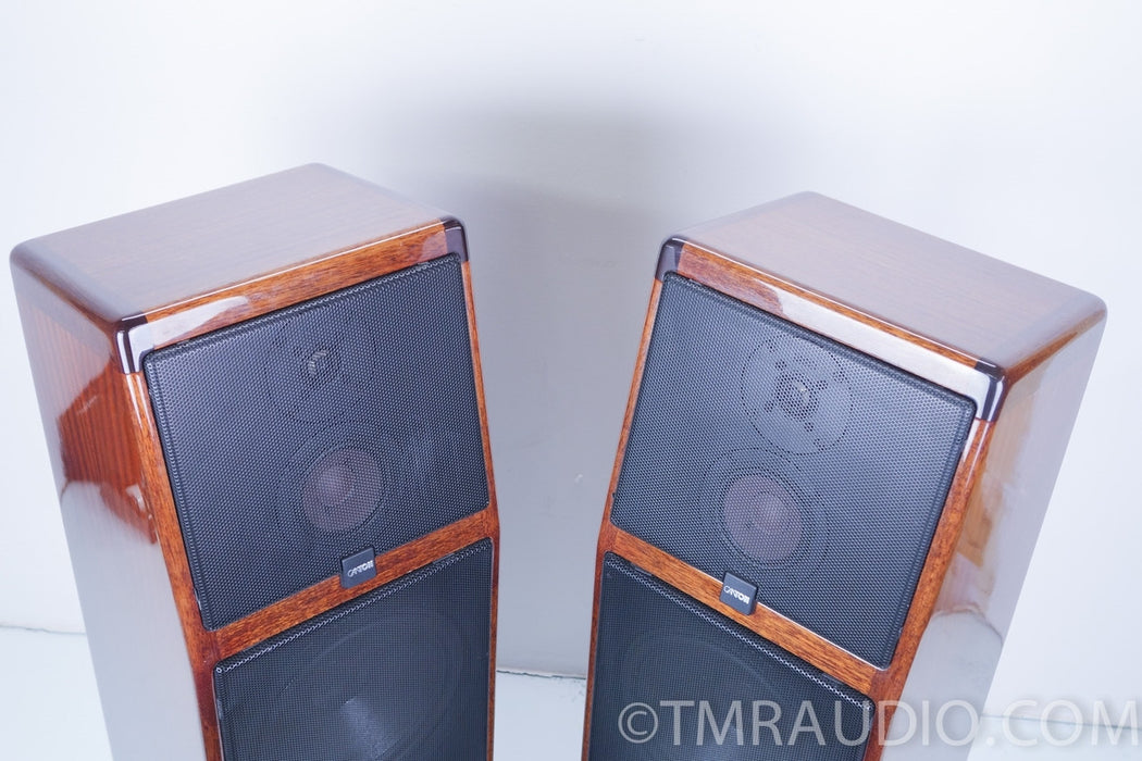 Canton Ergo Pass IV Speakers