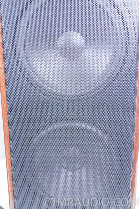 Canton Ergo Pass IV Speakers