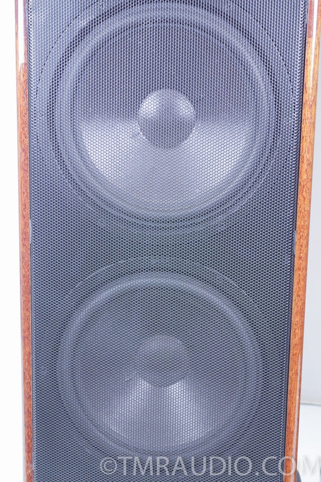 Canton Ergo Pass IV Speakers
