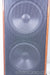 Canton Ergo Pass IV Speakers