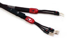 AudioQuest Redwood Bi-Wire Speaker Cables; 3m