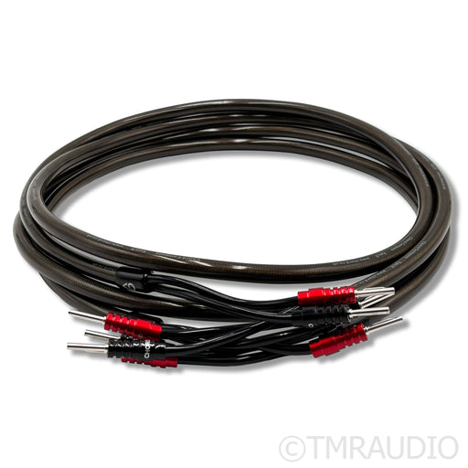 The Chord Company EpicX Speaker Cables; 2m