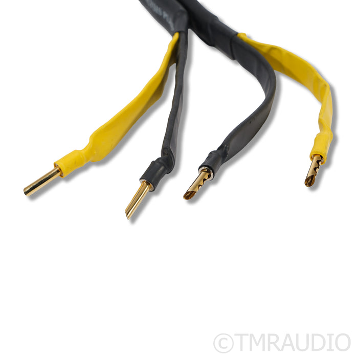 Analysis Plus Oval 9 Speaker Cables; 8ft