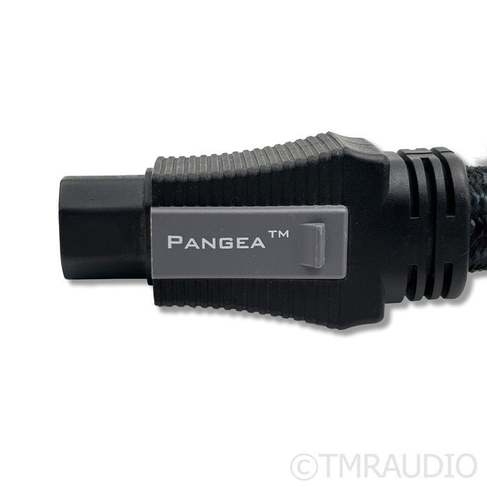 Pangea Audio AC-9 C19 Power Cable; 1.5m