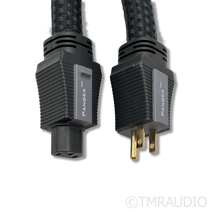 Pangea Audio AC-9 C19 Power Cable; 1.5m