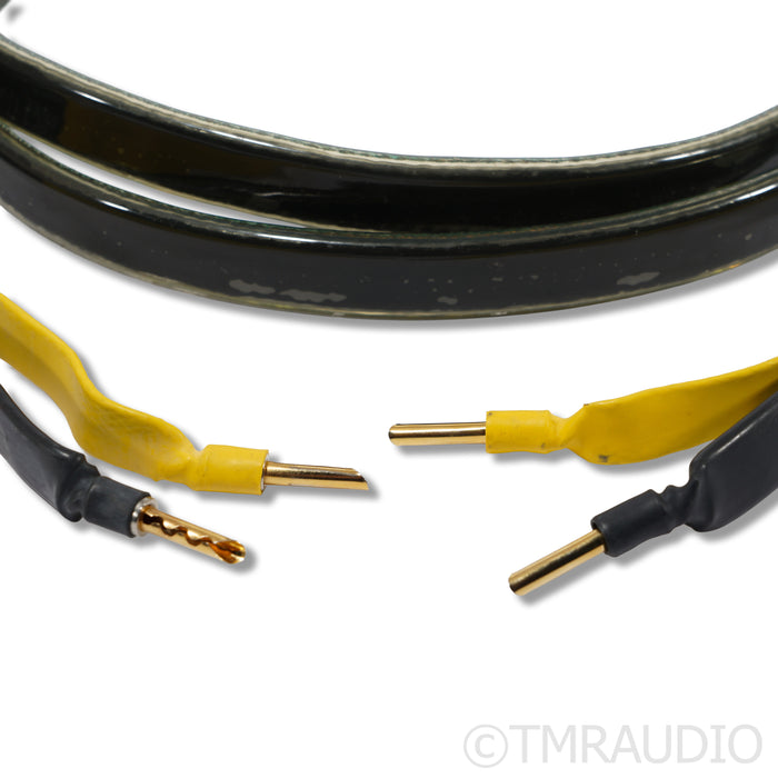 Analysis Plus Oval 9 Speaker Cables; 8ft